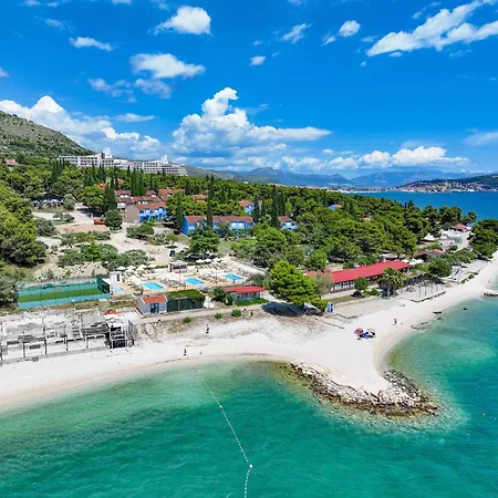 Orange Tree Apartment *