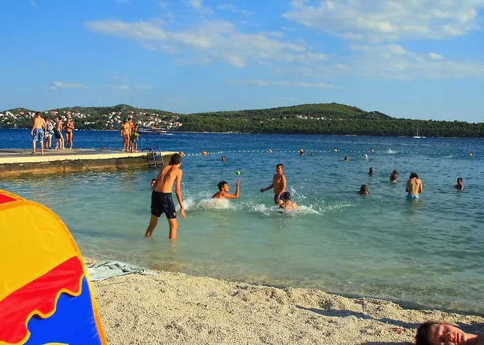 Orange Tree * Trogir