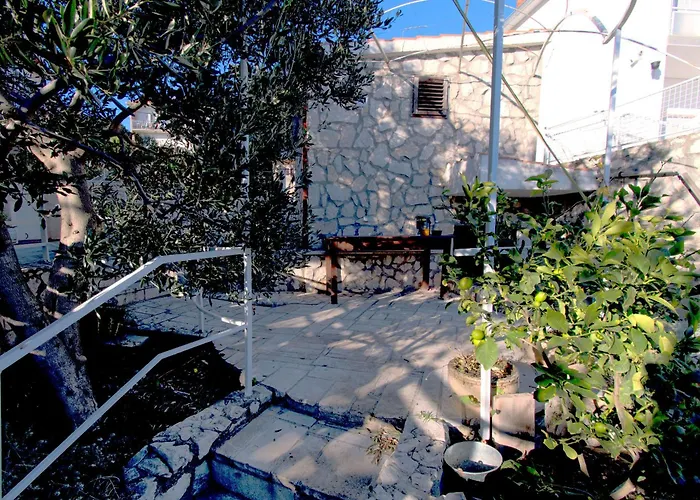 Orange Tree Apartment