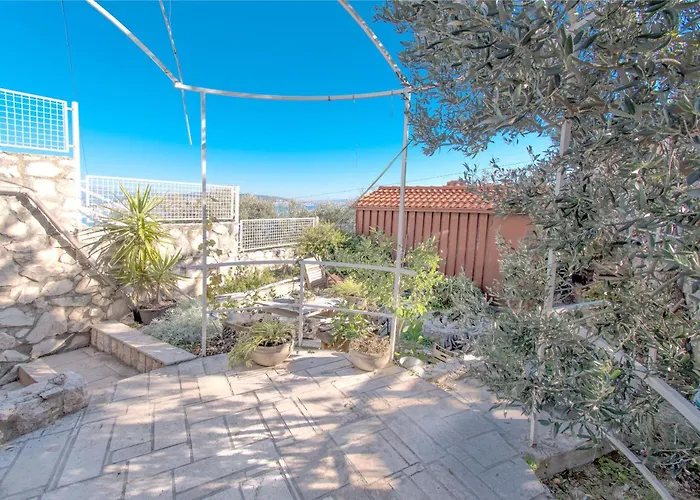 Orange Tree Apartment Trogir